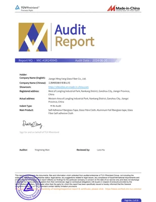TÜV Rheinland 审核报告封面